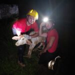 foto_cbmam_arquivo_animais-1