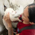 foto_cbmam_arquivo_animais-2