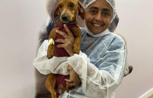 img-20250825-wa0014-2