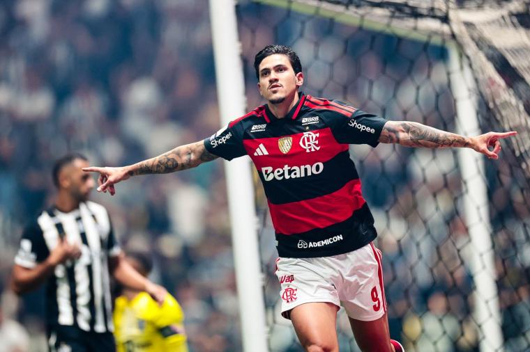 flamengo_e_galo-1145454