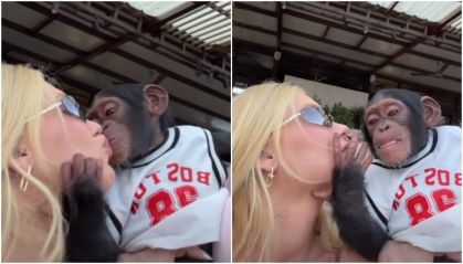 Vídeo de Virginia beijando macaco vira alvo de racismo contra Vini Jr.