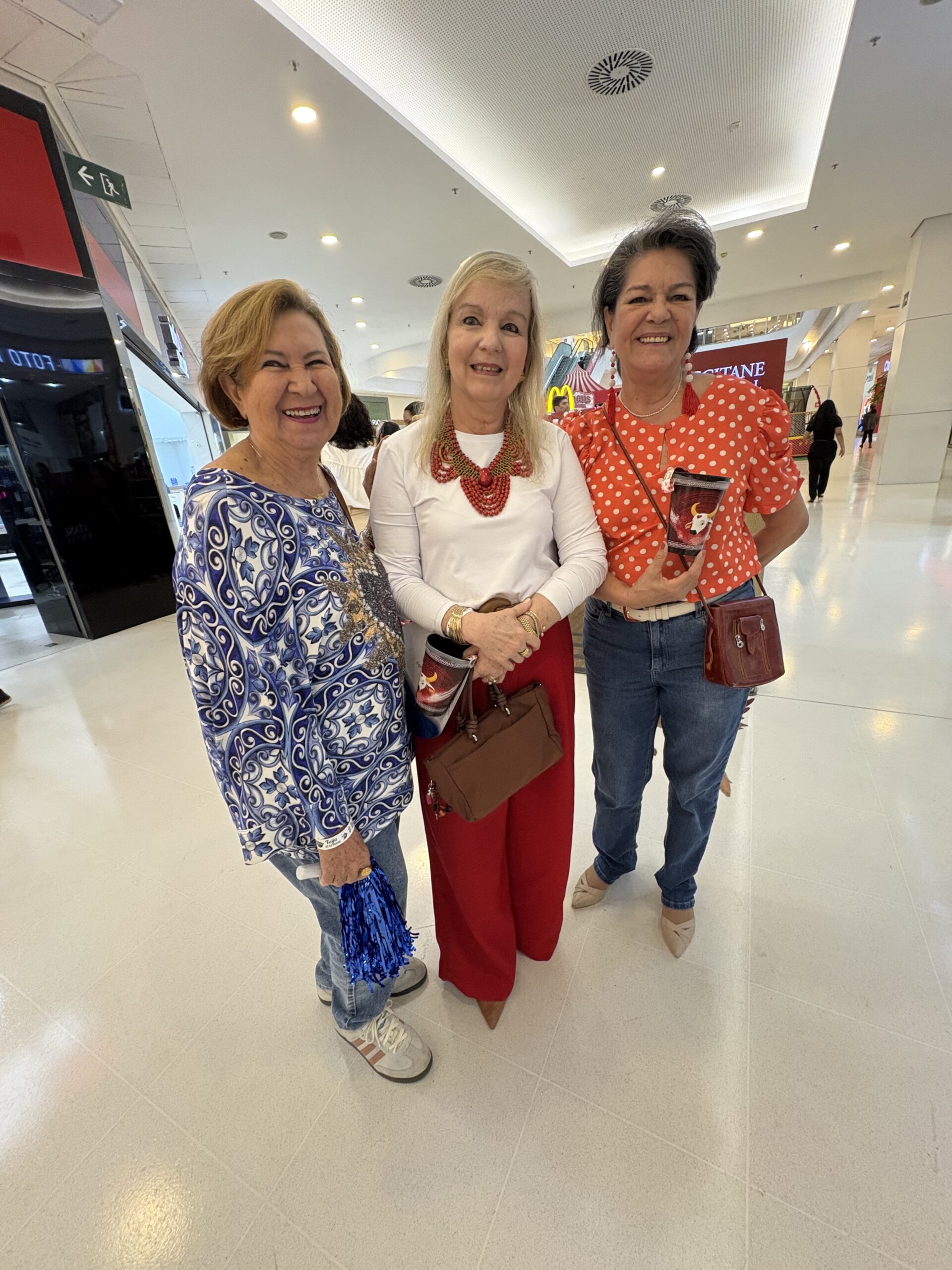 foto-1-feiju-20-dorinha-antony-flavia-grosso-ira-mendes