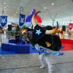 fotos-8