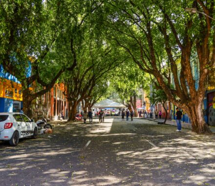 Projeto da ‘Rua Gastronômica’ preservará árvores da Ferreira Pena