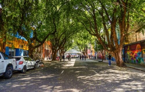 Projeto da ‘Rua Gastronômica’ preservará árvores da Ferreira Pena