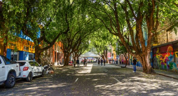 Projeto da ‘Rua Gastronômica’ preservará árvores da Ferreira Pena