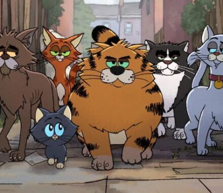 Gatos de Rua