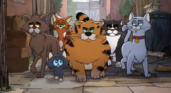 Gatos de Rua