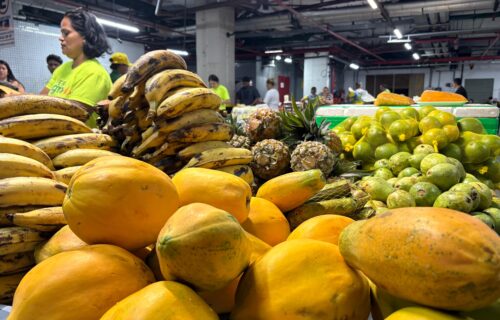 Quinta-feira é dia de feira de produtos frescos e regionais no Millennium Shopping
