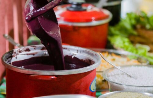 Tambaqui, tucumã e açaí: alimentos amazônicos podem contribuir para prevenir a obesidade