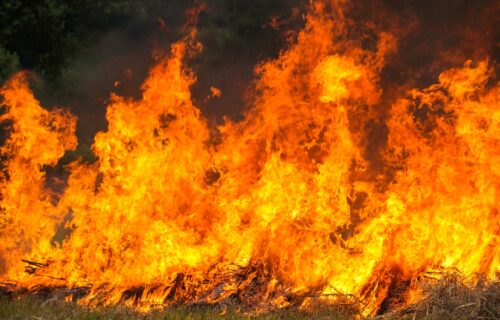 Em Borba, MP recomenda medidas protetivas contra incêndios florestais e queimadas