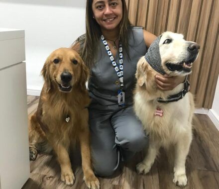 ‘Outubro Rosa Pet’: saiba como identificar sintomas do câncer de mama em animais de estimação